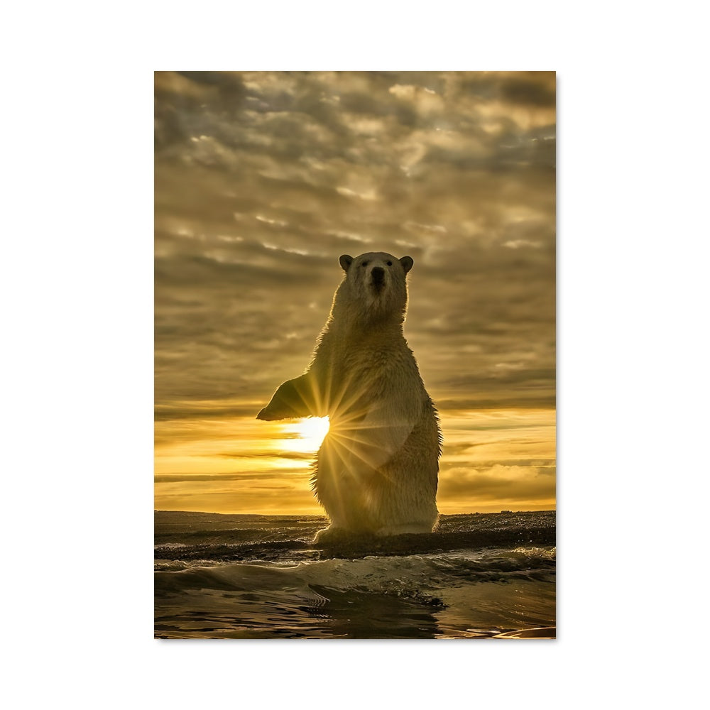 Poster Ours des Glaces