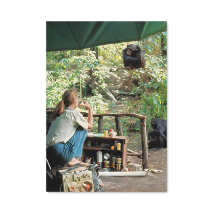 Poster Sous l'Ombre Verte