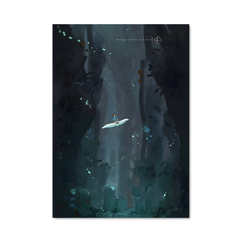 Poster Survol de la Vallée