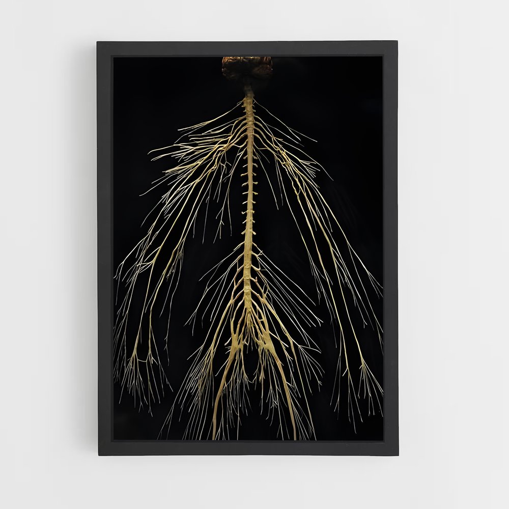 ap-neurons-3 cadre Noir