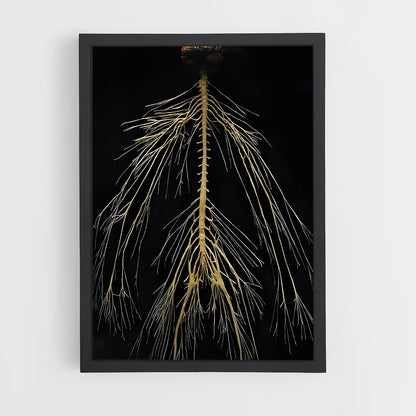 ap-neurons-3 cadre Noir