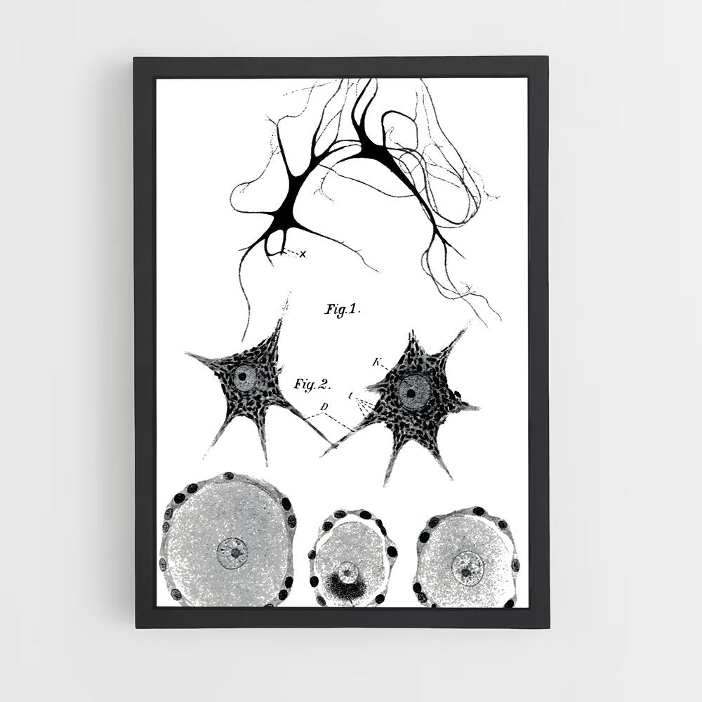 ap-neurons-9 cadre Noir