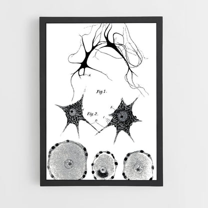 ap-neurons-9 cadre Noir