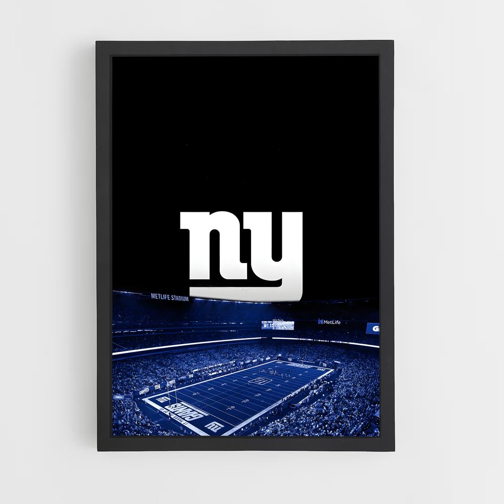 ap-new york giants-1 cadre Noir