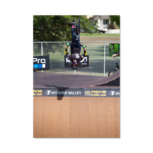 Poster Trickster en Skate