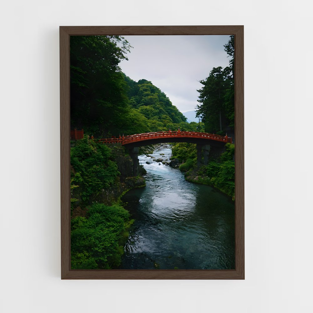 ap-nikko toshogu-4 cadre Bois foncé