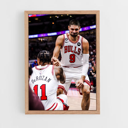 ap-nikola vucevic-3 cadre Bois clair