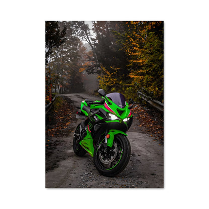 Poster Roadster Vert