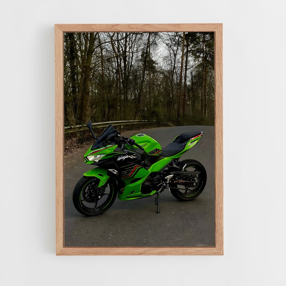 ap-ninja 300-1 cadre Bois clair
