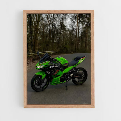 ap-ninja 300-1 cadre Bois clair
