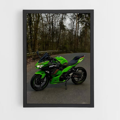 ap-ninja 300-1 cadre Noir