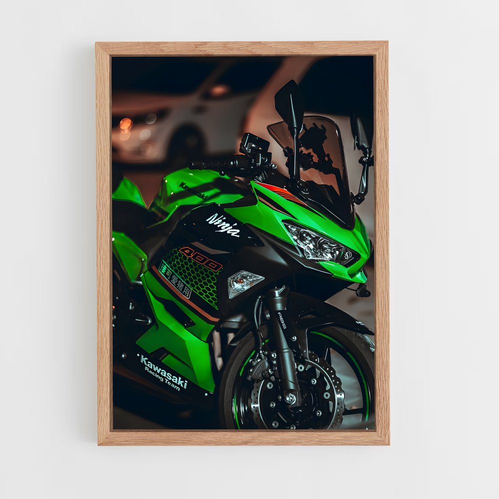 ap-ninja 400-3 cadre Bois clair