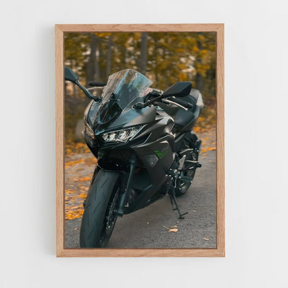ap-ninja 650-1 cadre Bois clair