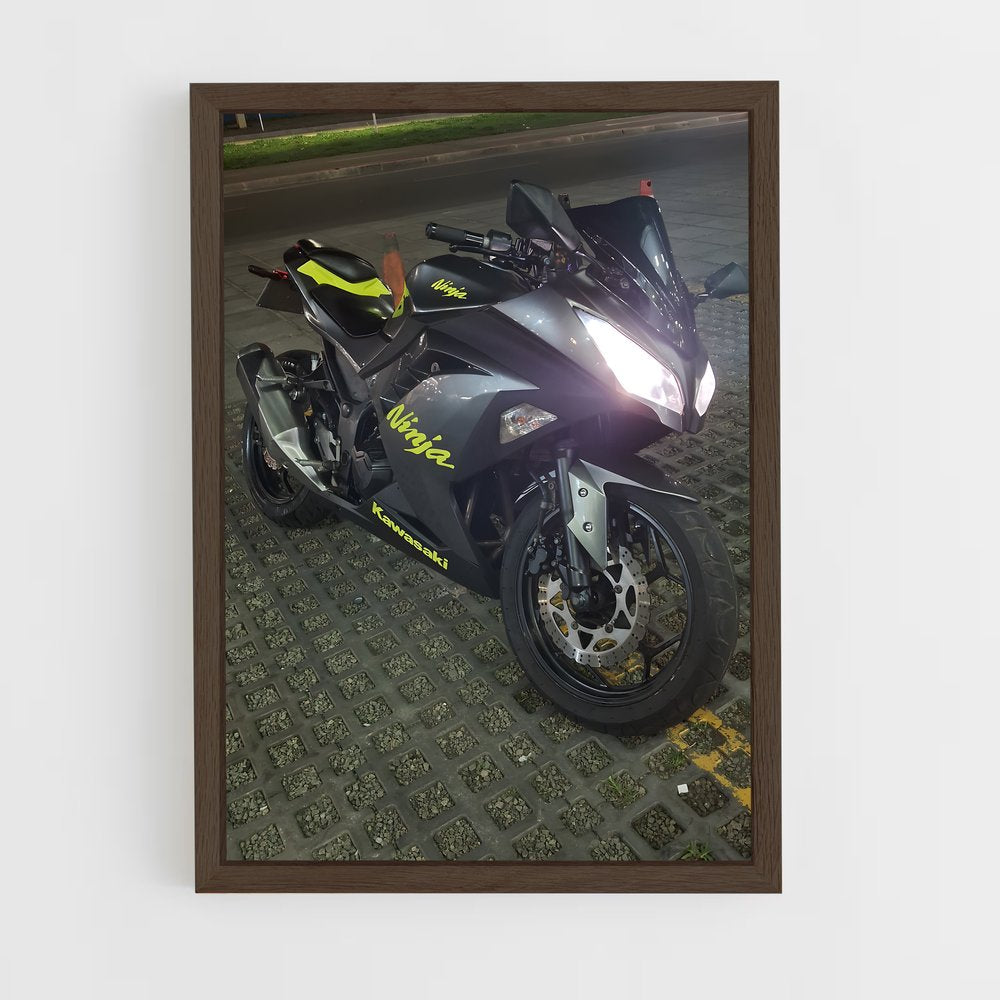 ap-ninja 650-3 cadre Bois foncé
