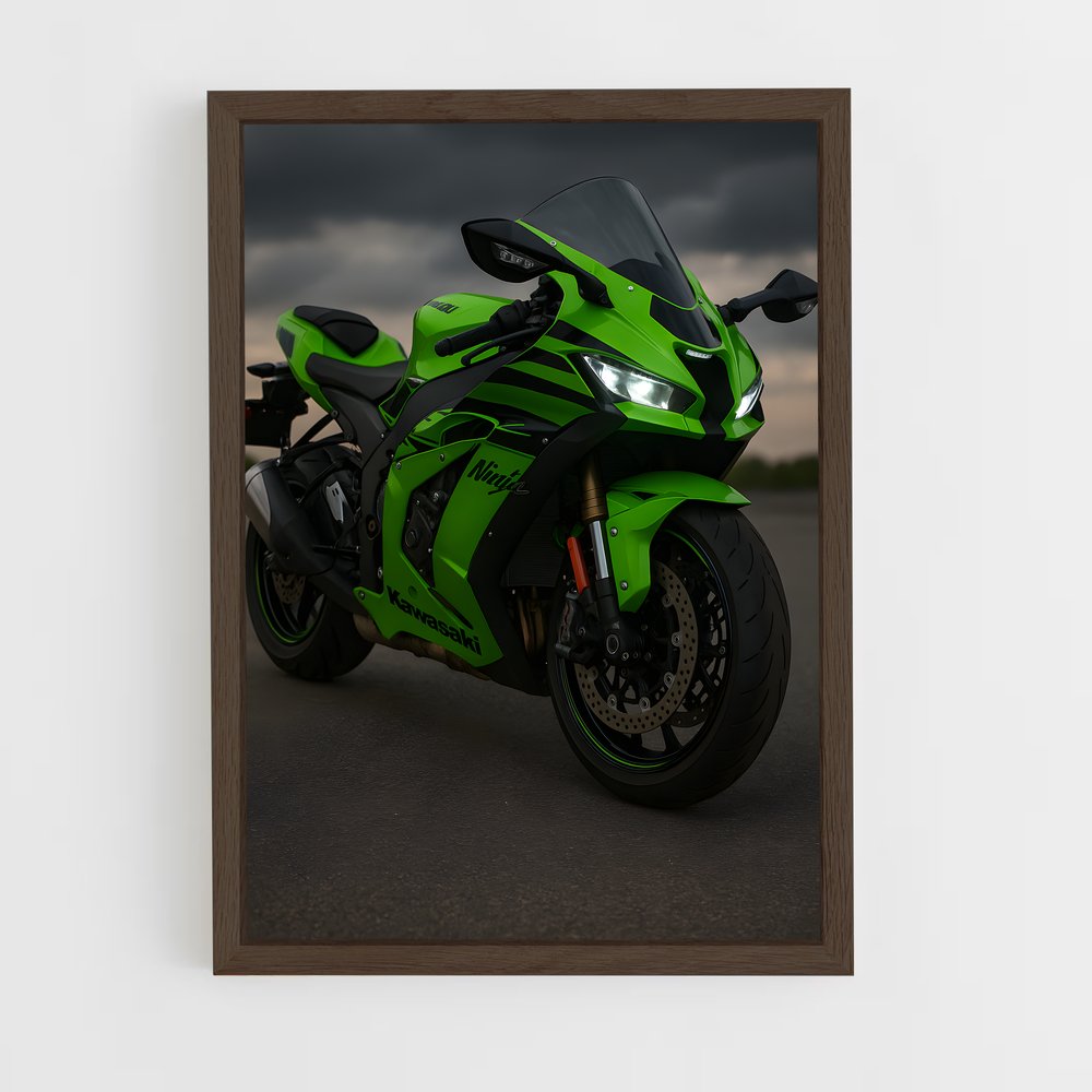 ap-ninja zx-10r-1 cadre Bois foncé