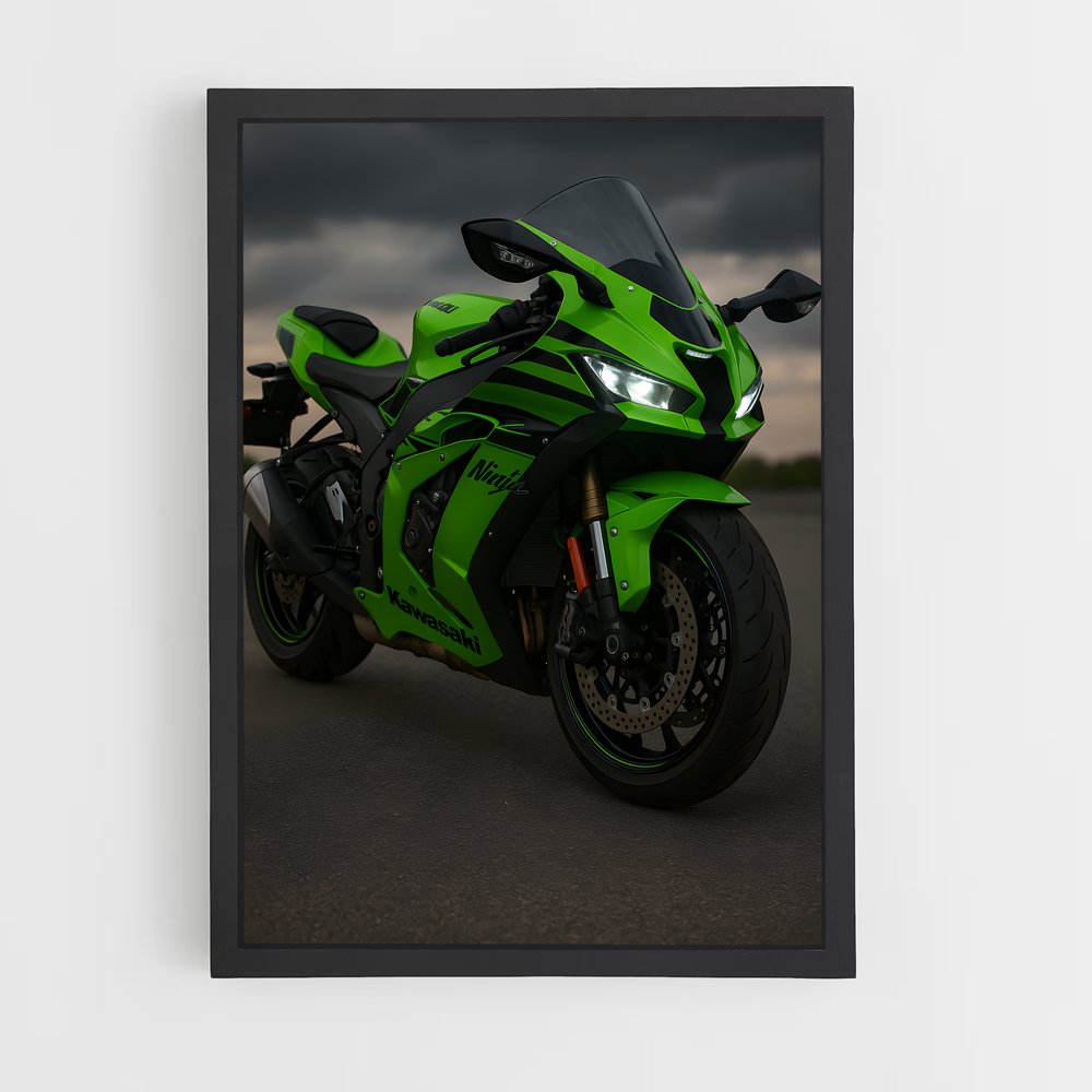 ap-ninja zx-10r-1 cadre Noir