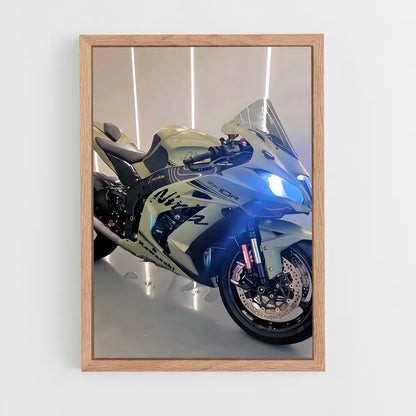 ap-ninja zx-10r-3 cadre Bois clair
