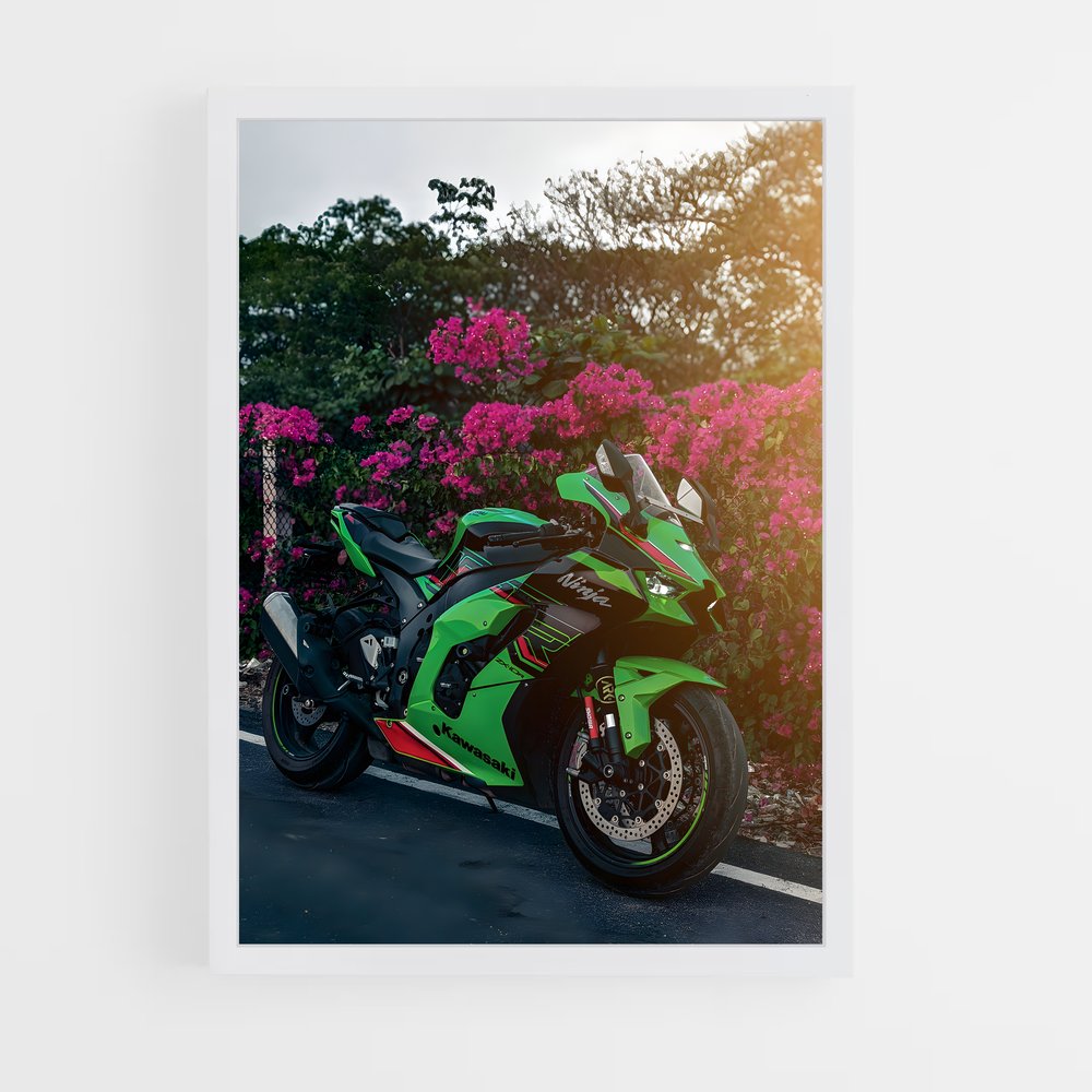 ap-ninja zx-10r-4 cadre Blanc