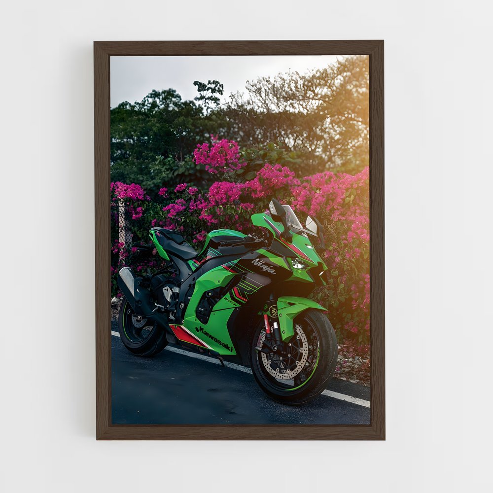 ap-ninja zx-10r-4 cadre Bois foncé