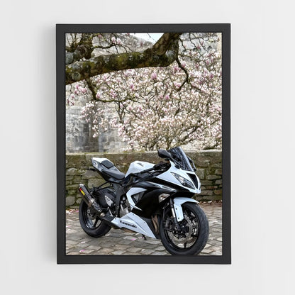 ap-ninja zx-6r-6 cadre Noir