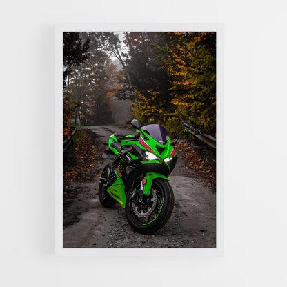 ap-ninja zx-6r-8 cadre Blanc