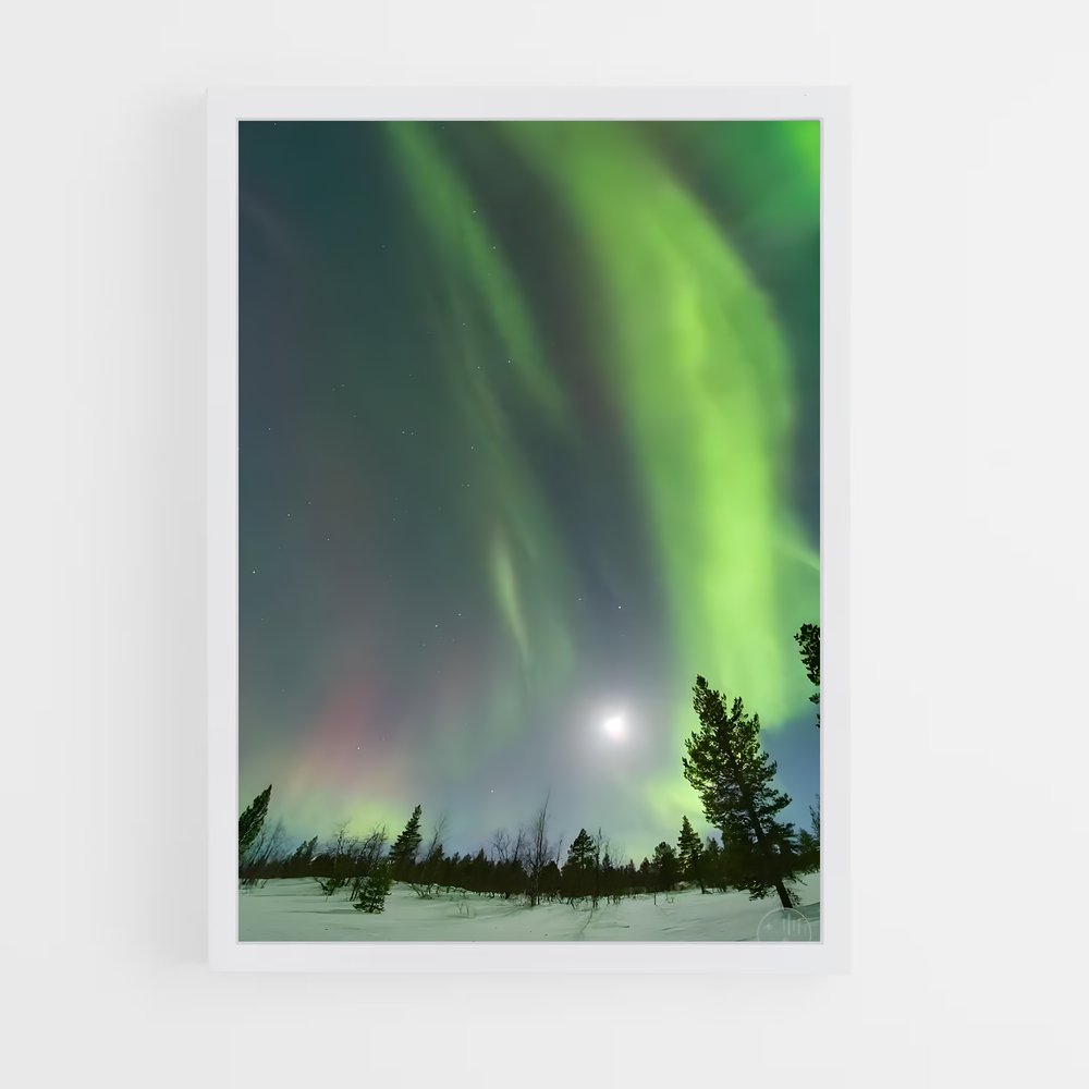 ap-norway aurora-5 cadre Blanc