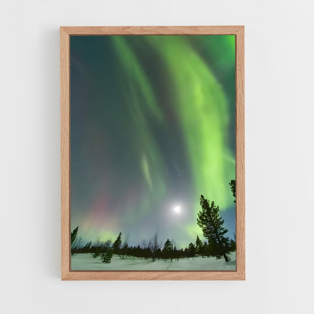 ap-norway aurora-5 cadre Bois clair