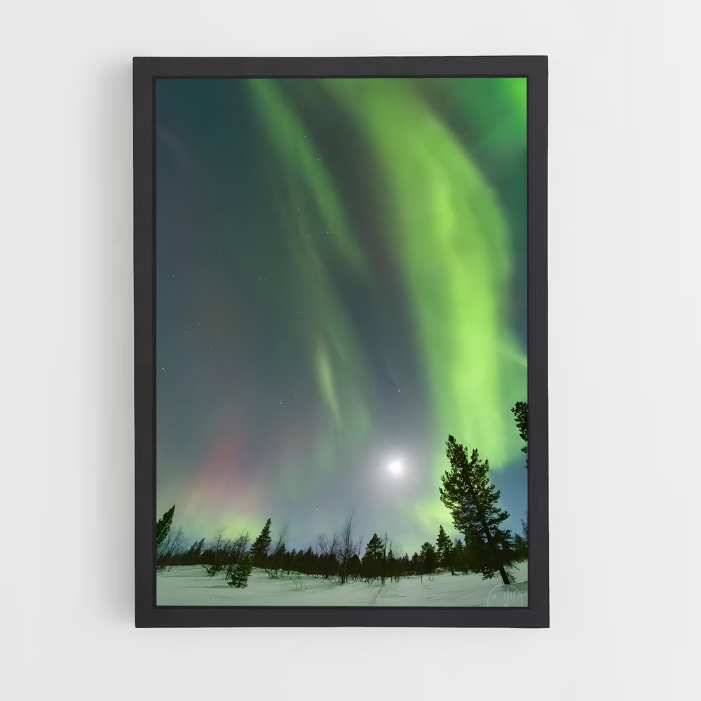 ap-norway aurora-5 cadre Noir