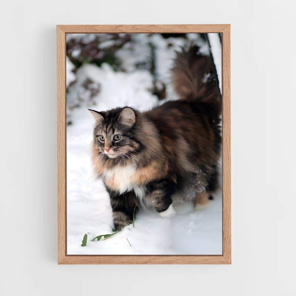 ap-norwegian forest cat-2 cadre Bois clair