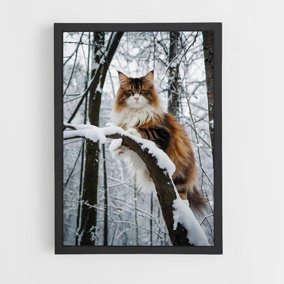 ap-norwegian forest cat-6 cadre Noir