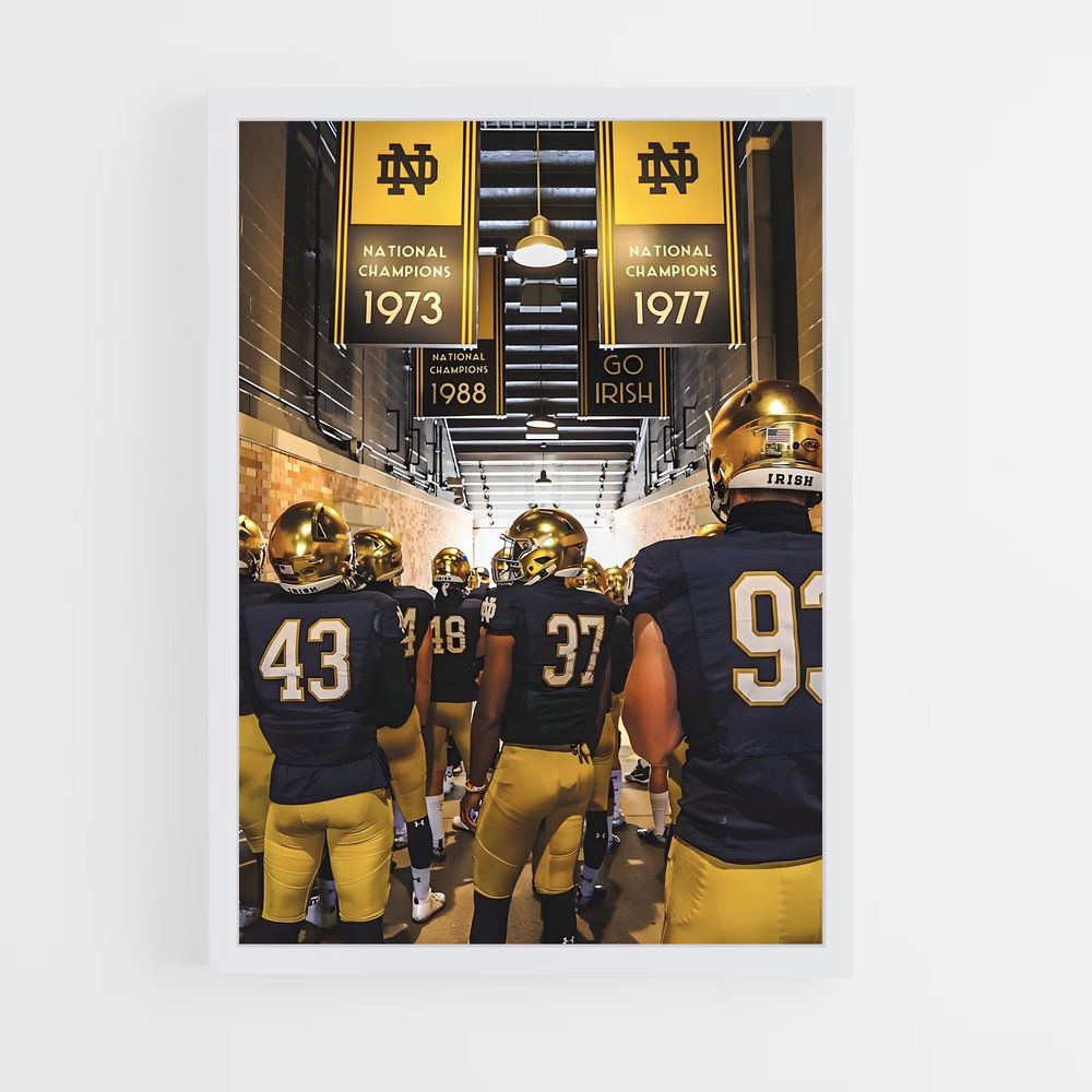 ap-notre dame fighting irish-1 cadre Blanc