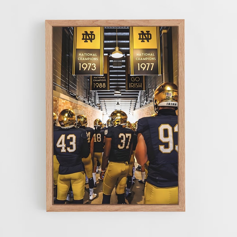 ap-notre dame fighting irish-1 cadre Bois clair