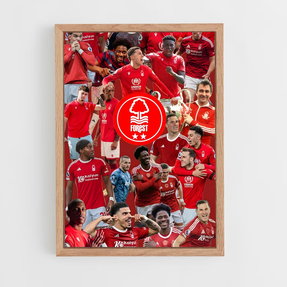 ap-nottingham forest fc-9 cadre Bois clair