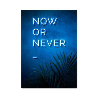 Poster Now or never 26891