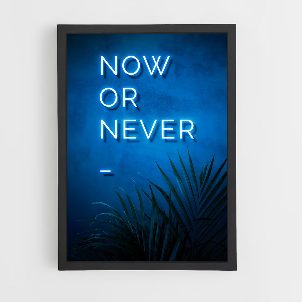 ap-now or never-1 cadre Noir