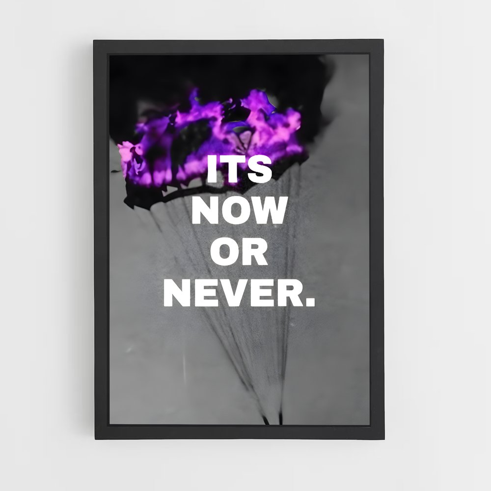 ap-now or never-11 cadre Noir