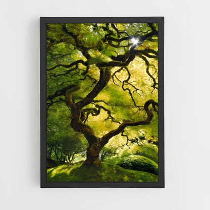 ap-oak-2 cadre Noir