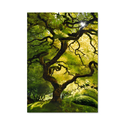 Poster Oak 96986