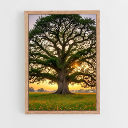 ap-oak-4 cadre Bois clair