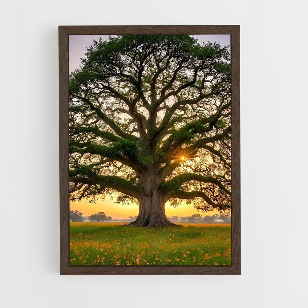 ap-oak-4 cadre Bois foncé