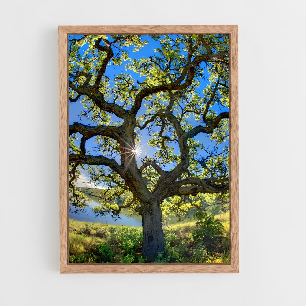 ap-oak-9 cadre Bois clair