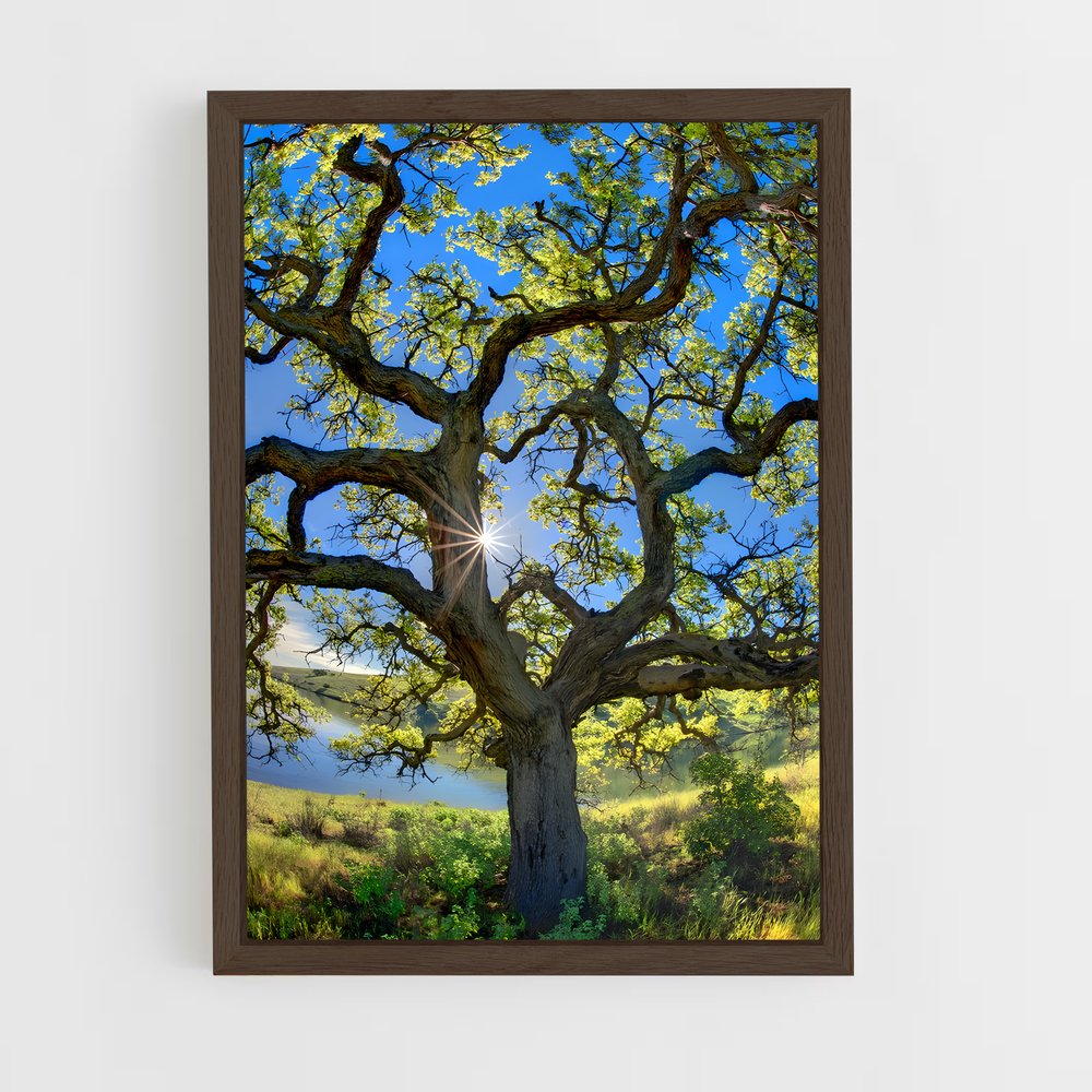 ap-oak-9 cadre Bois foncé