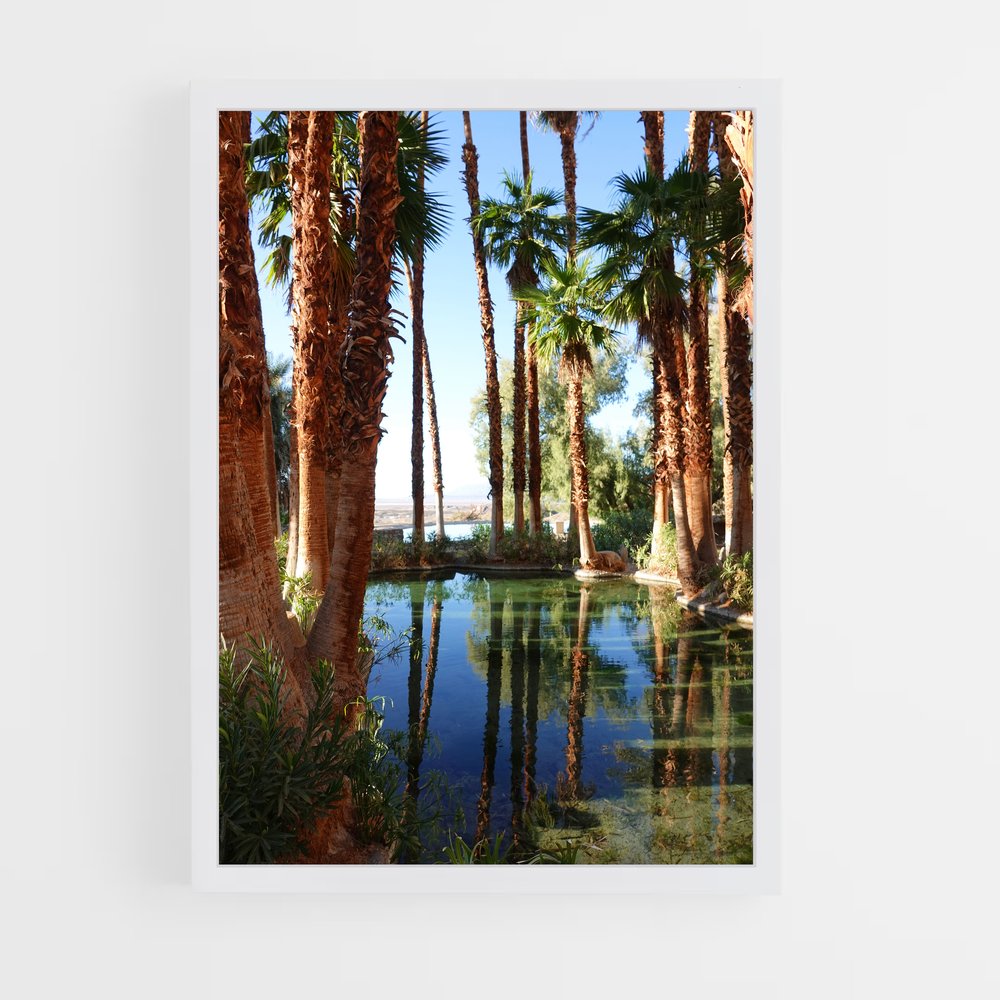ap-oasis-9 cadre Blanc