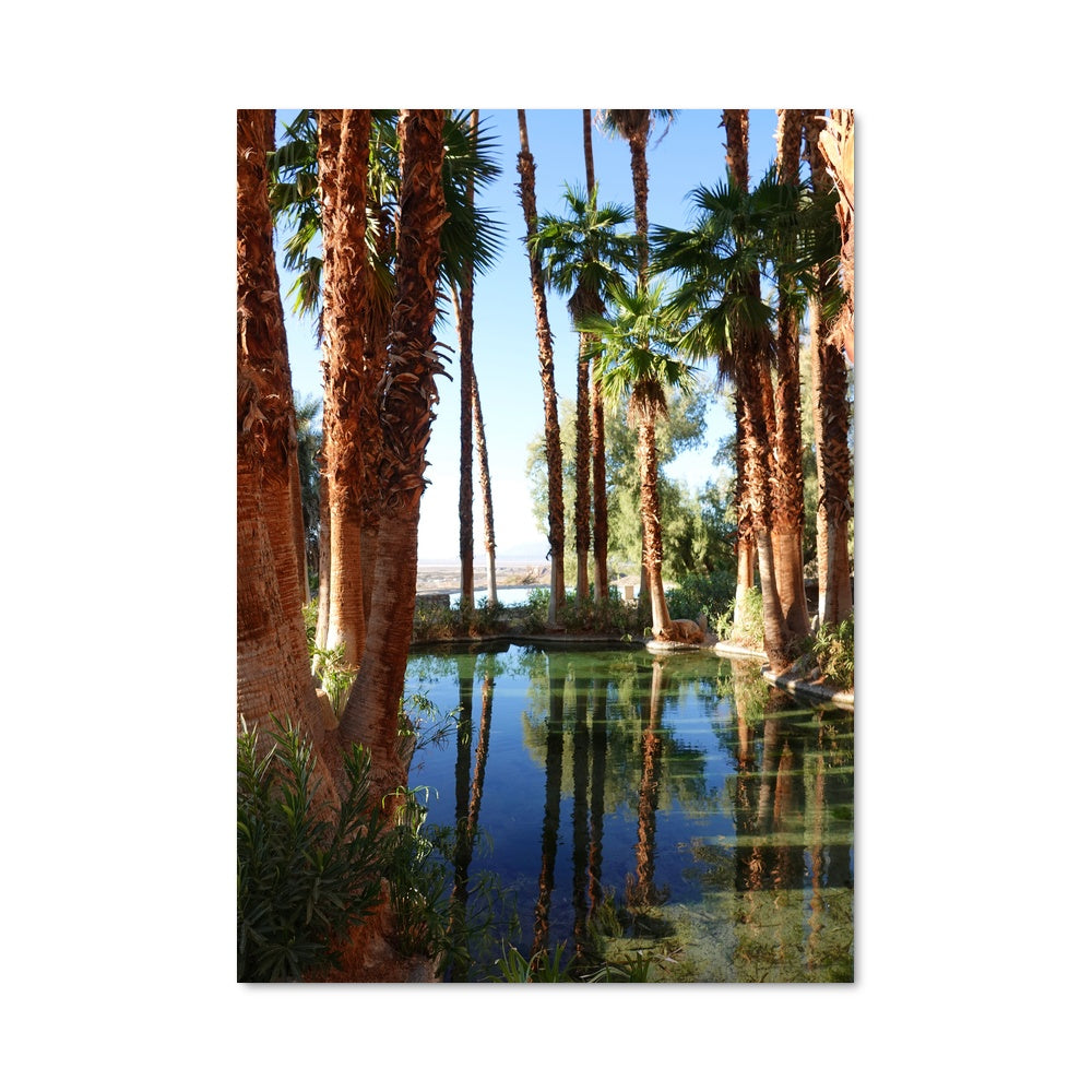 Poster Oasis Enchanté