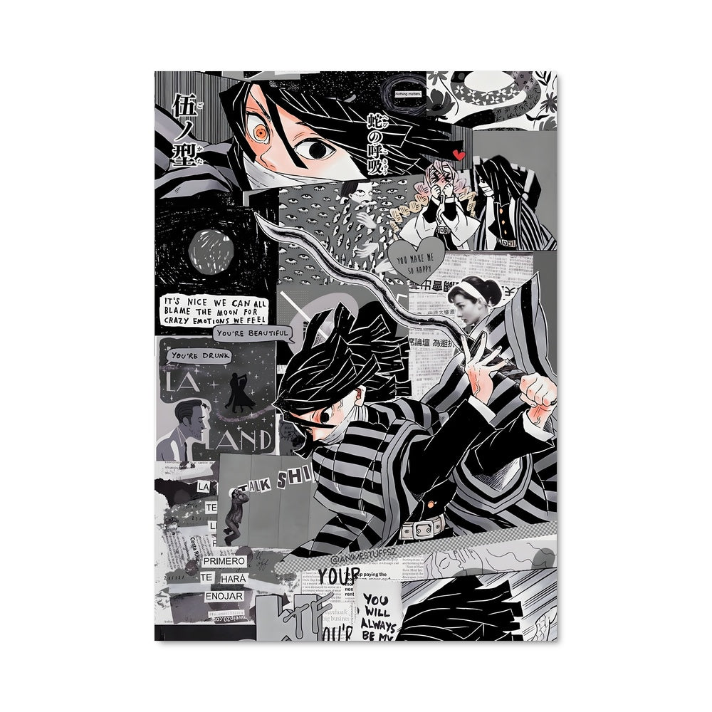 Poster Danse des Serpents