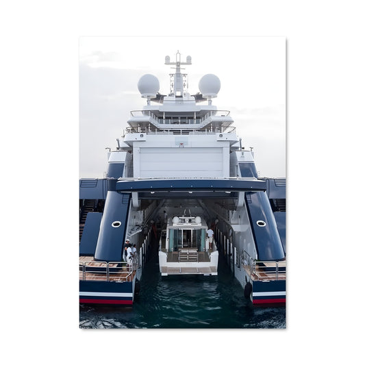 Poster Octopus 80571