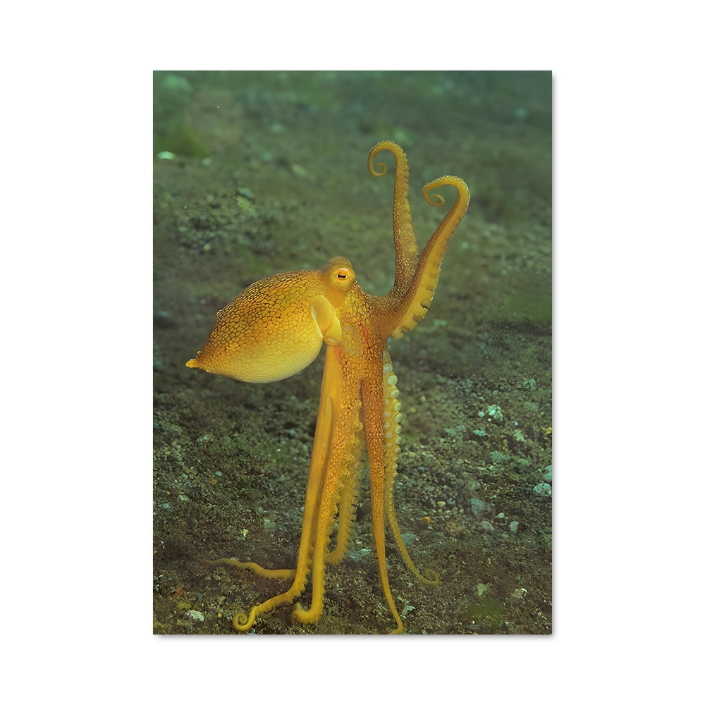 Poster Kraken Jaune