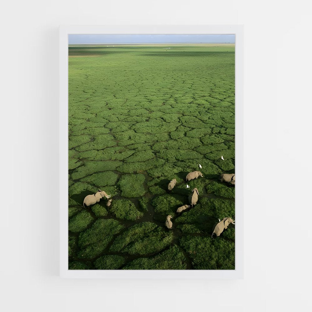 ap-okavango delta-1 cadre Blanc