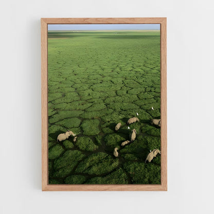 ap-okavango delta-1 cadre Bois clair