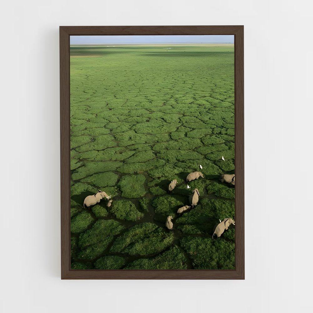 ap-okavango delta-1 cadre Bois foncé